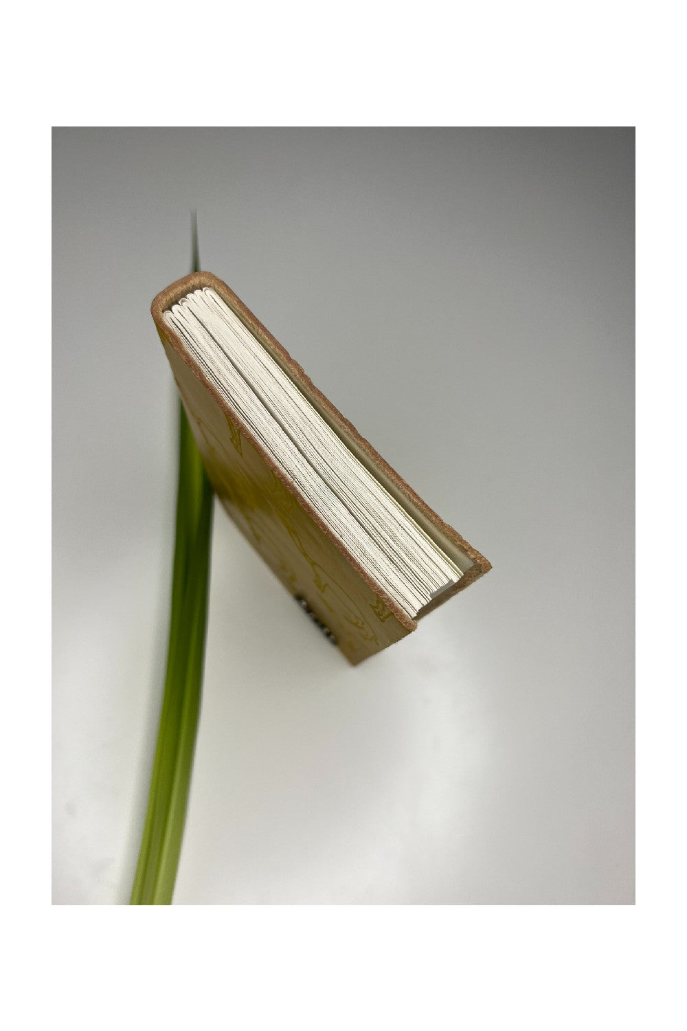 Handmade Notebooks - Leather cover