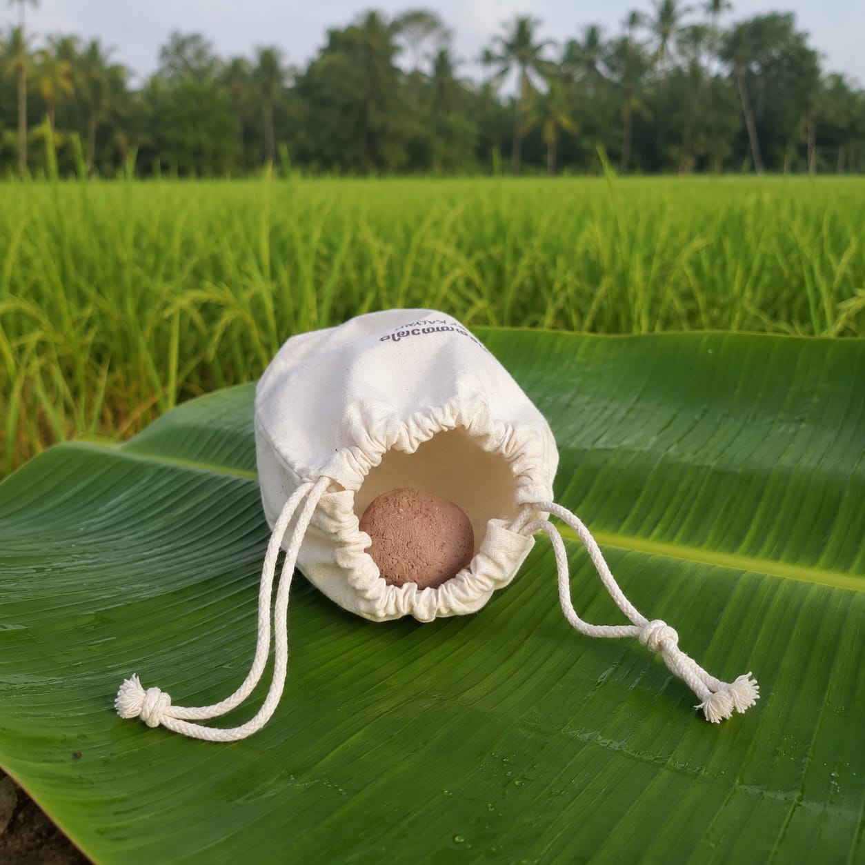 Seed Ball