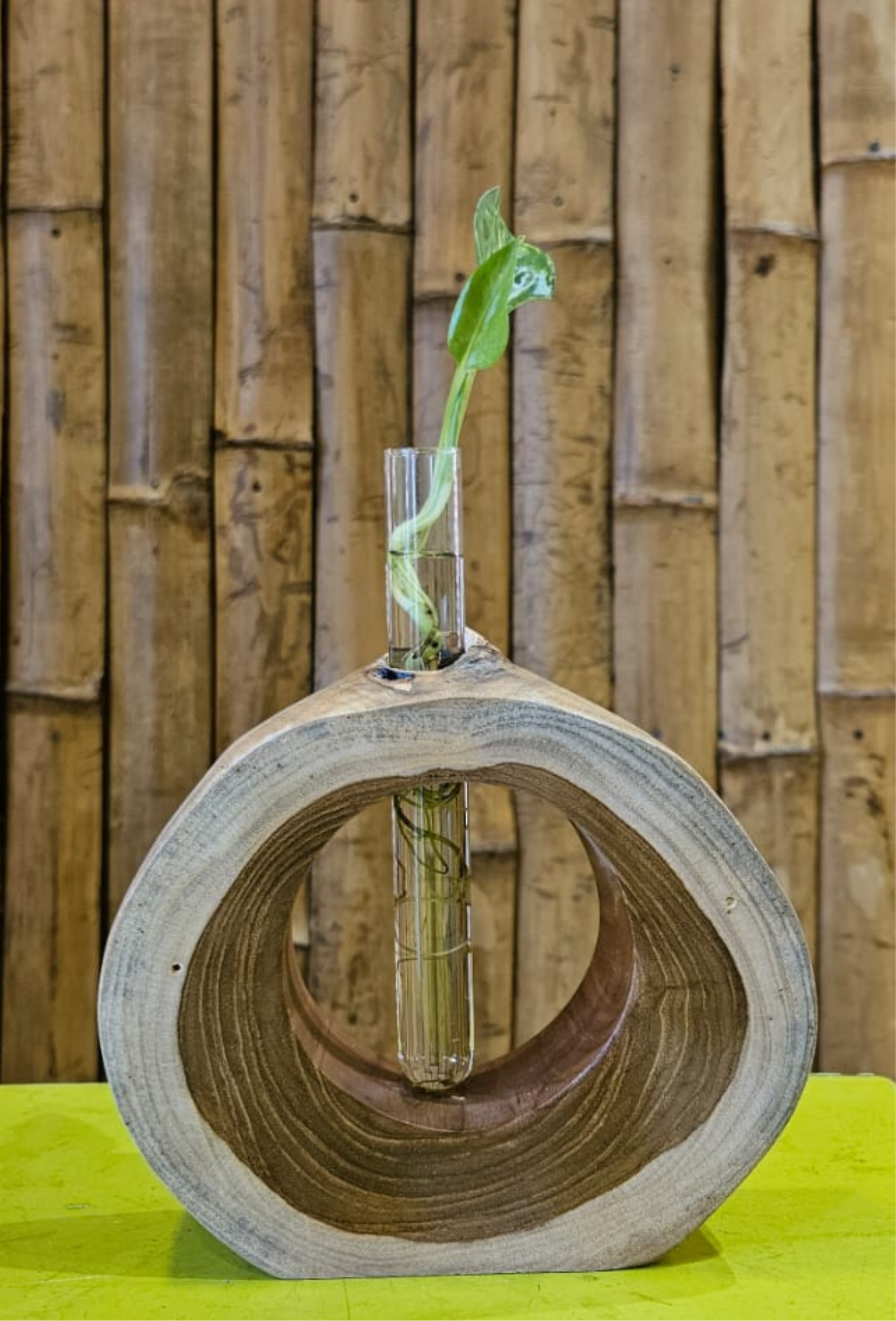 WOODEN TEST TUBE STAND