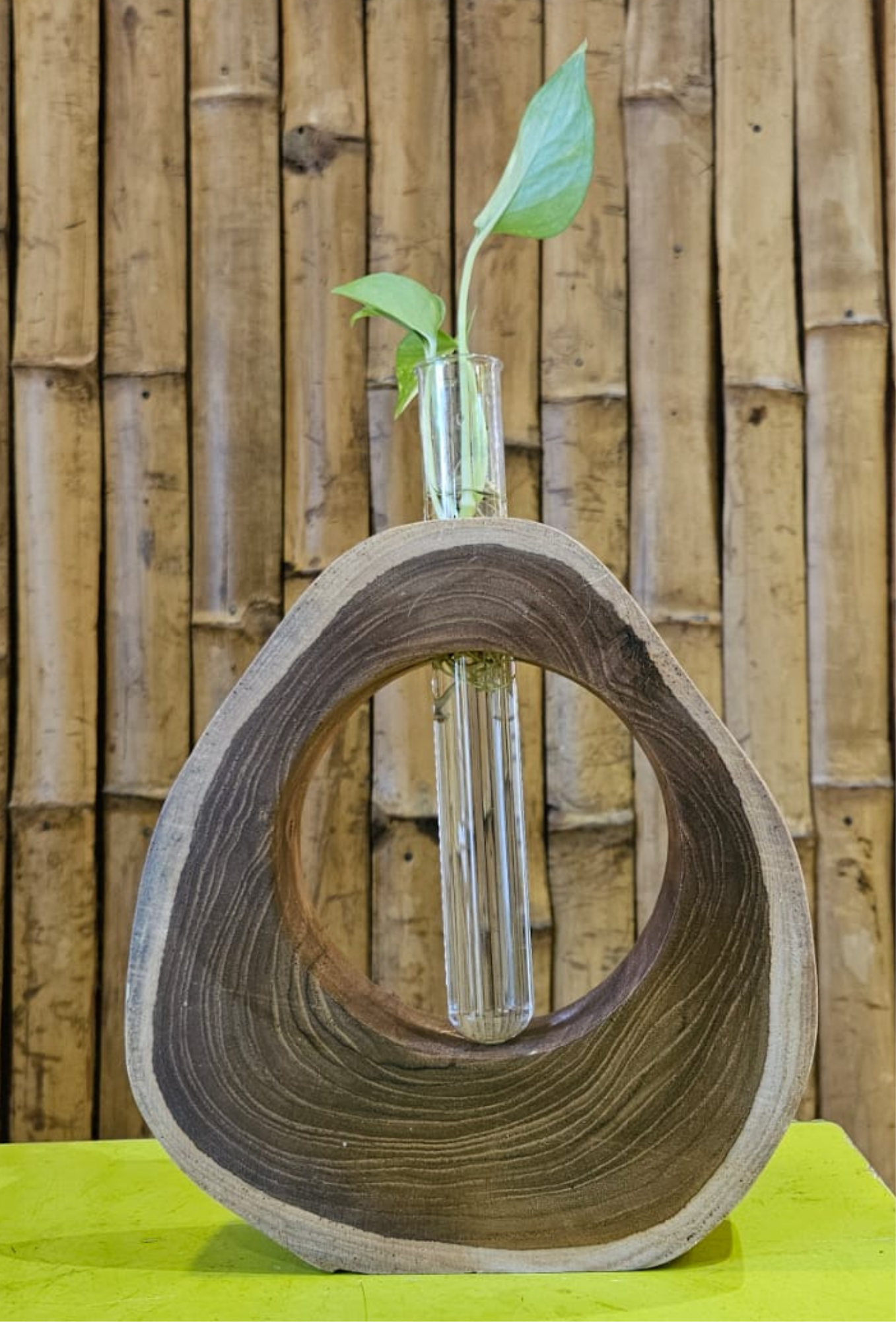 WOODEN TEST TUBE STAND