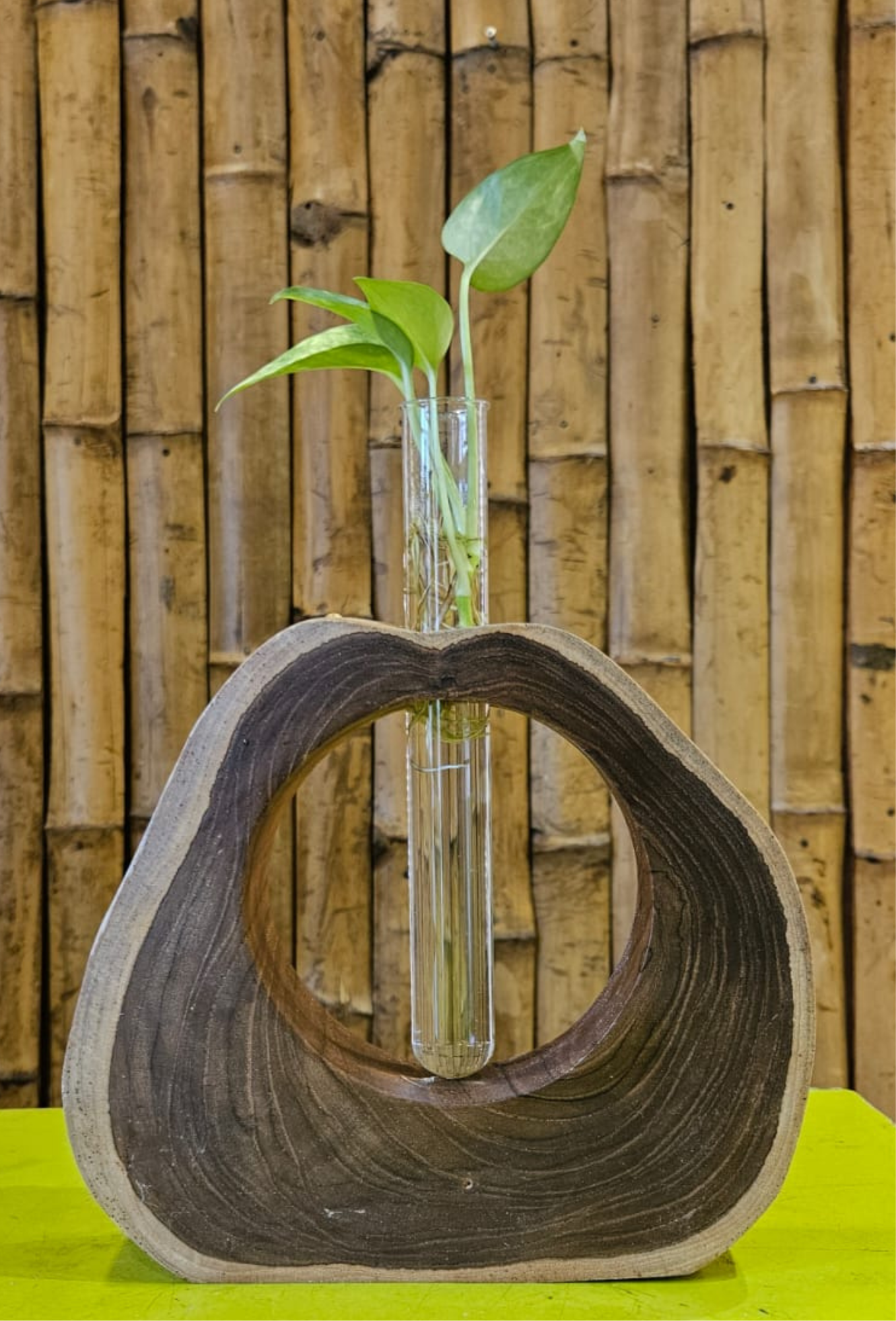 WOODEN TEST TUBE STAND