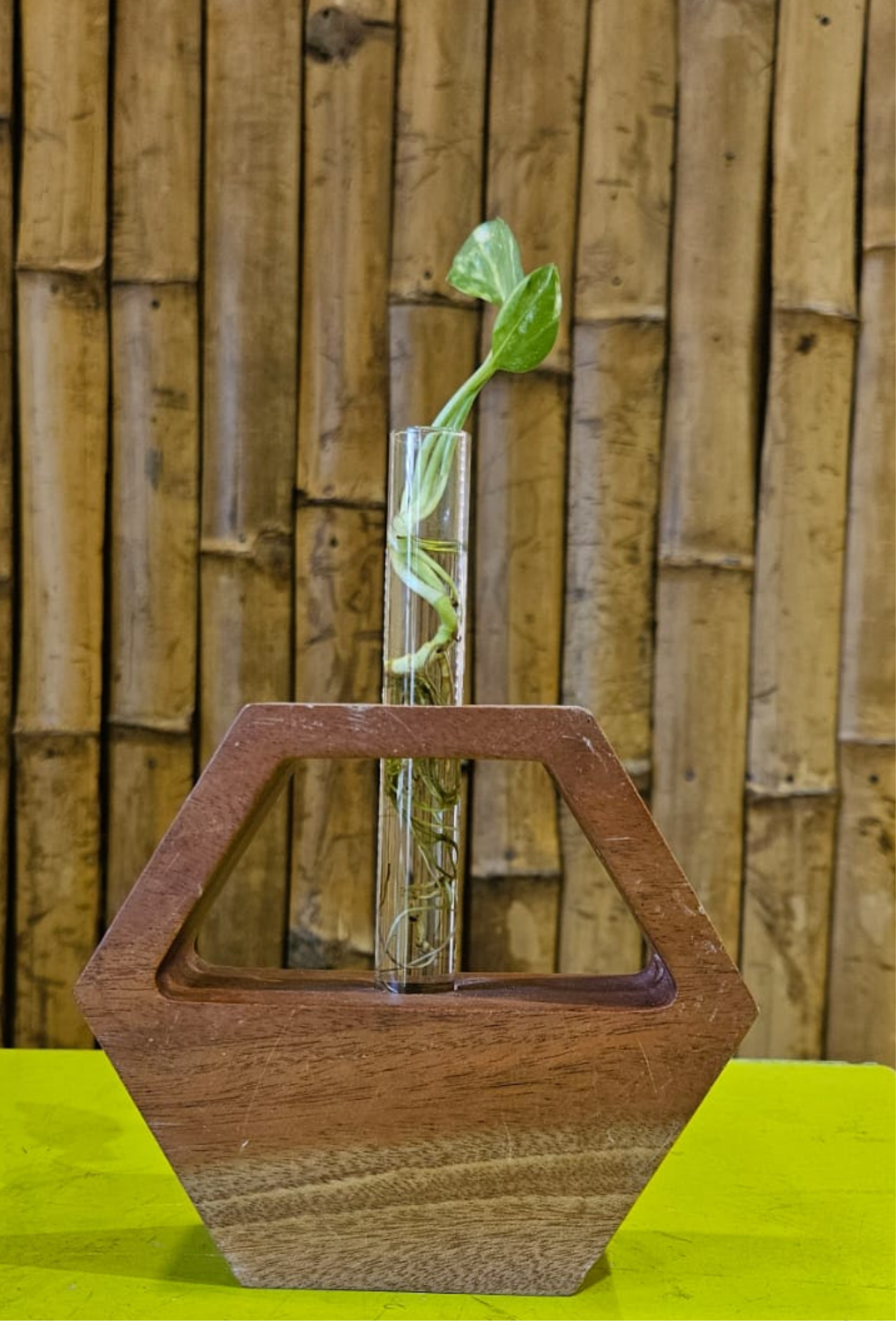 WOODEN TEST TUBE STAND