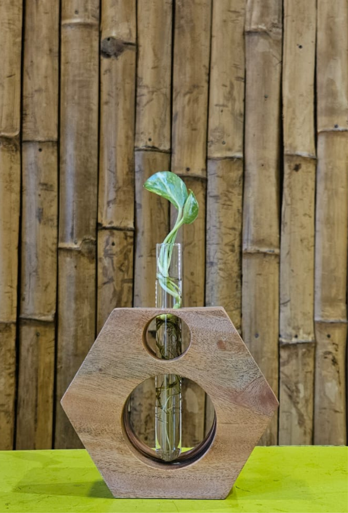 WOODEN TEST TUBE STAND