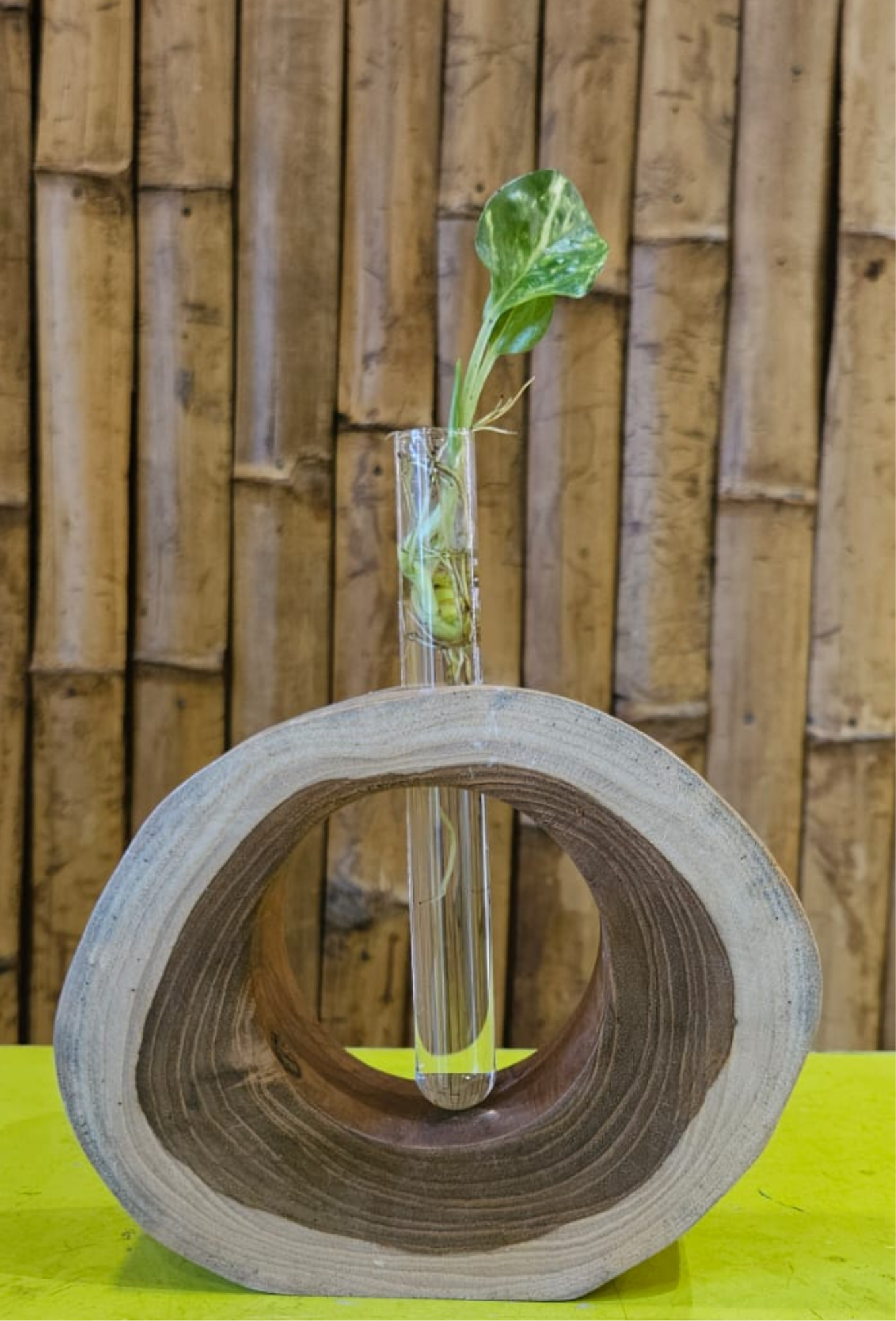 WOODEN TEST TUBE STAND