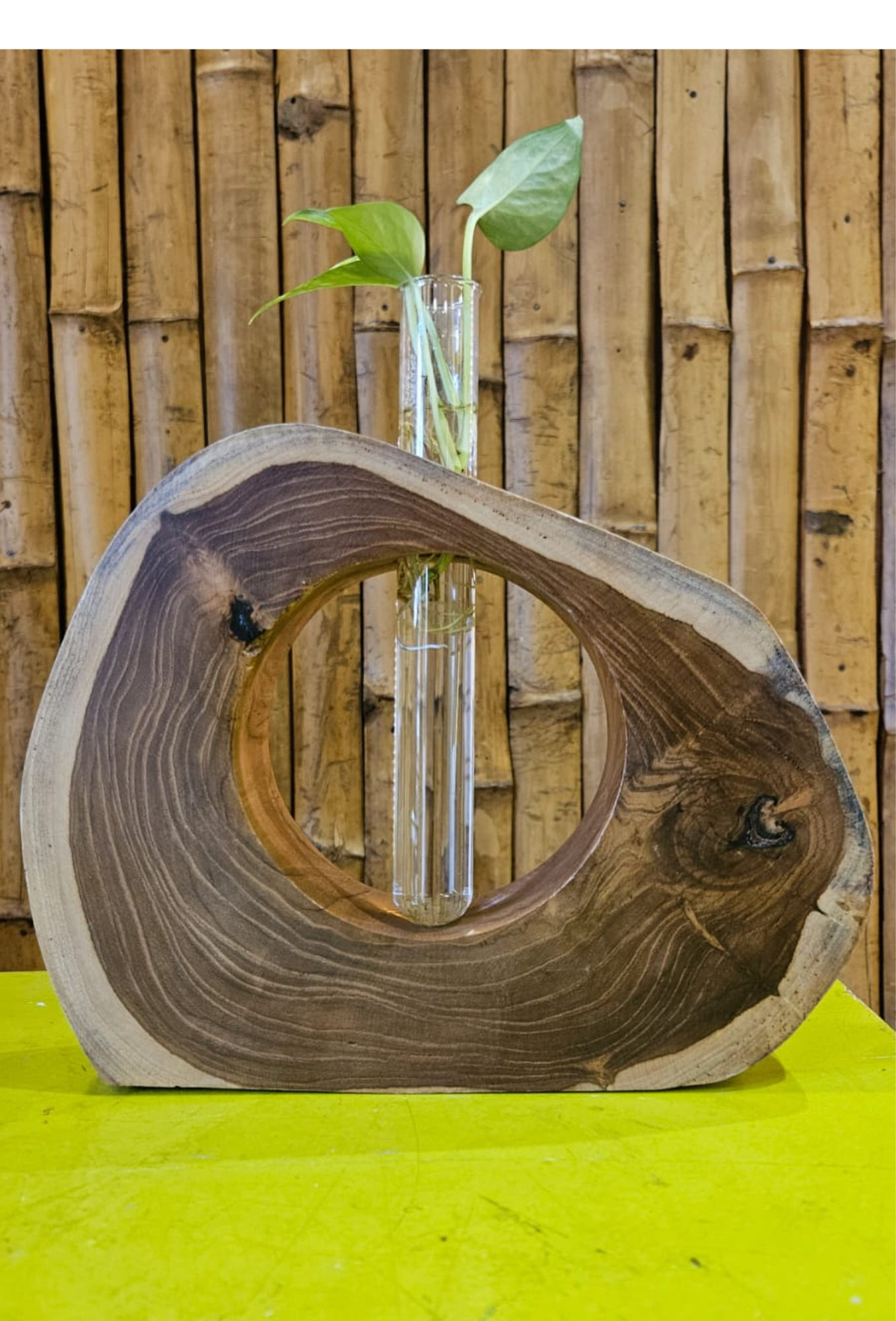 WOODEN TEST TUBE STAND